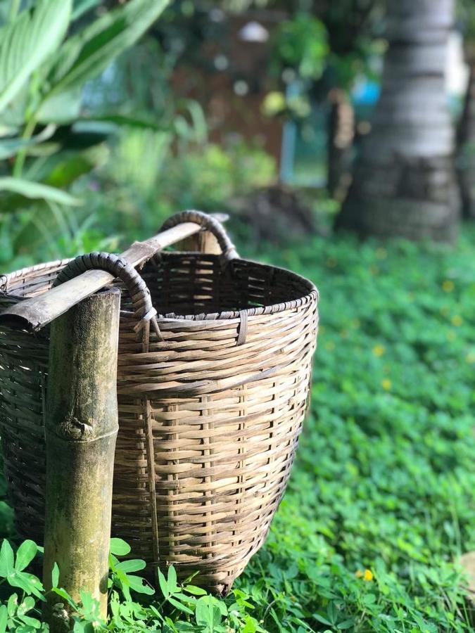 Phuc Sinh Homestay Ben Tre Exterior photo