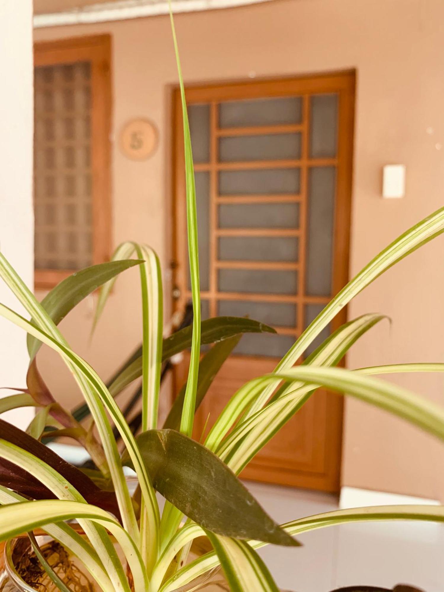 Phuc Sinh Homestay Ben Tre Room photo
