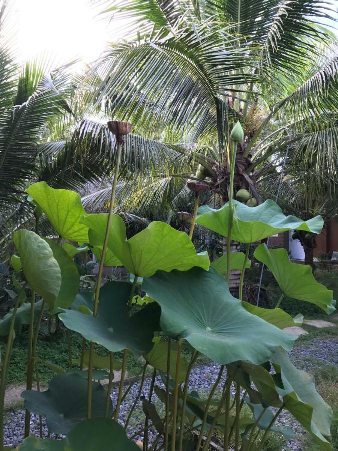 Phuc Sinh Homestay Ben Tre Exterior photo